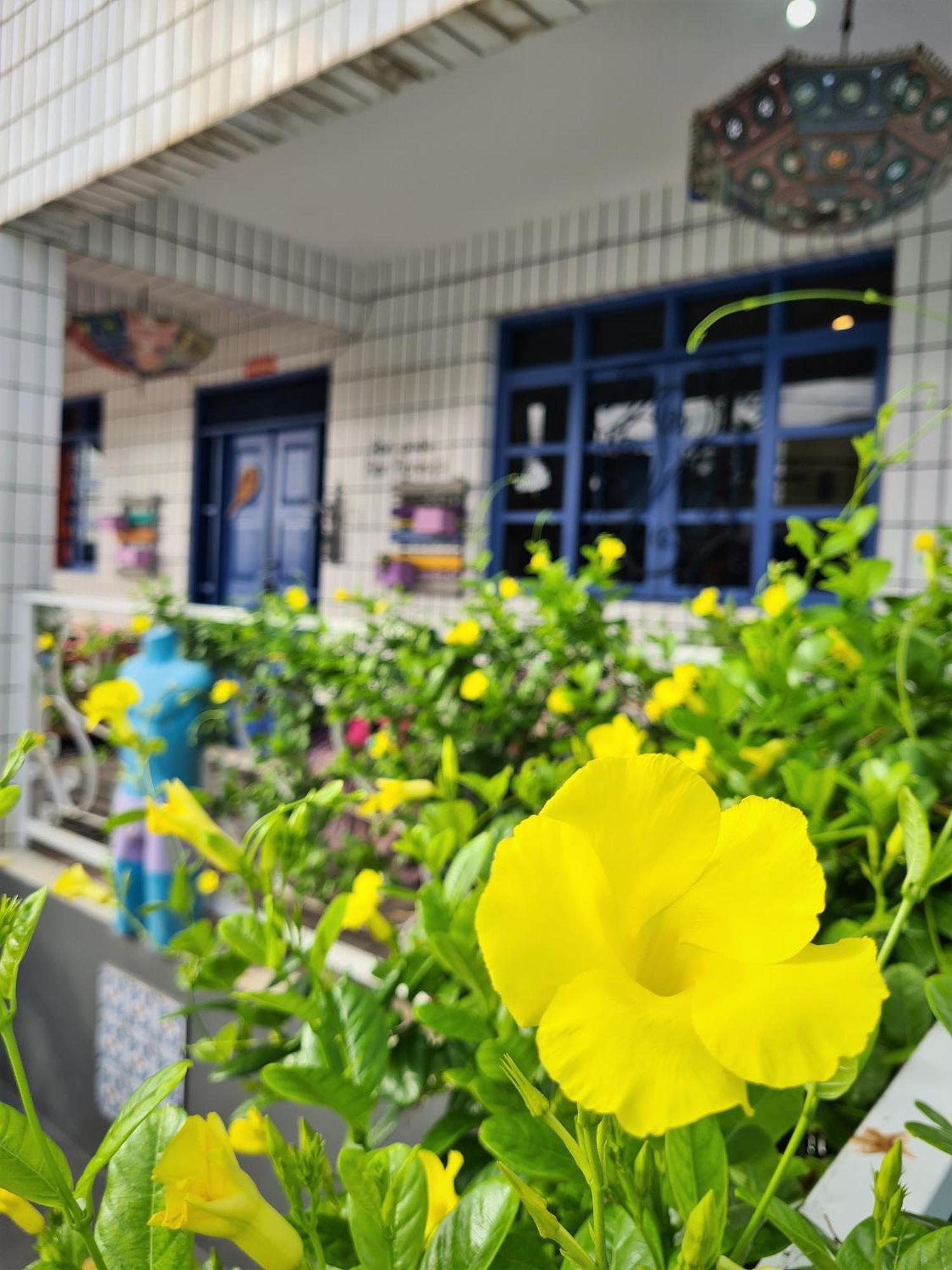 Soul Hostel ناتال المظهر الخارجي الصورة